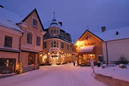 第１３回　北欧文化発信イベント　アイシングクッキー作り