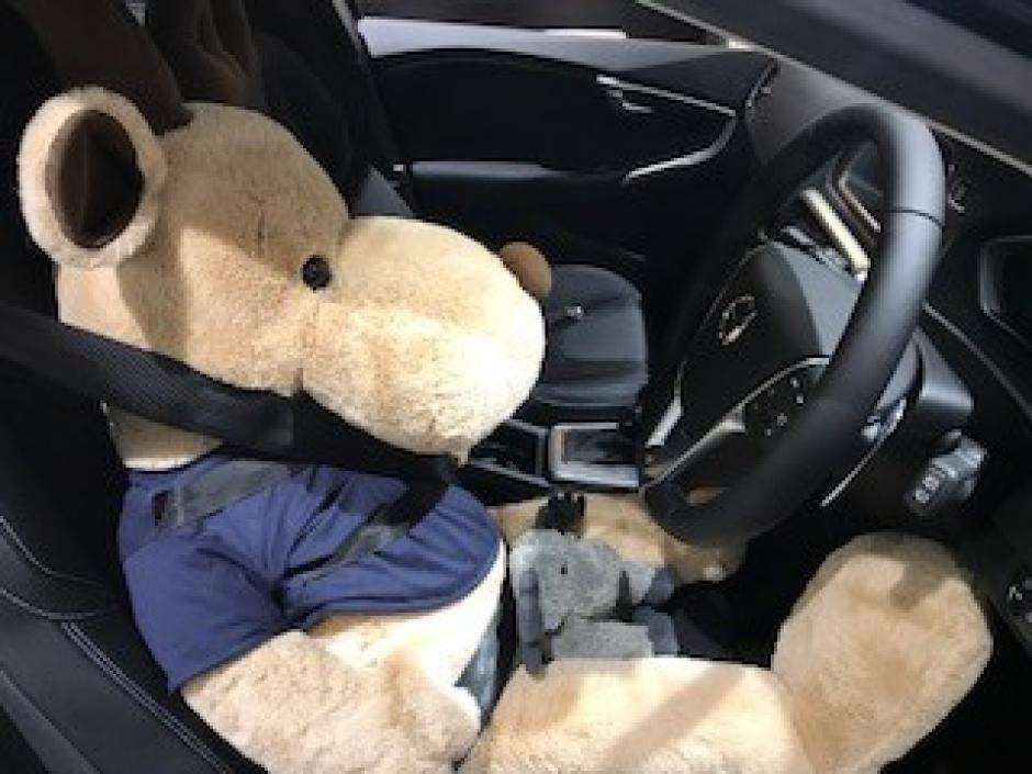 世界初3点式シートベルトが搭載された車をご紹介 ネクステージのボルボ正規販売店